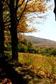 Scenic and Misc